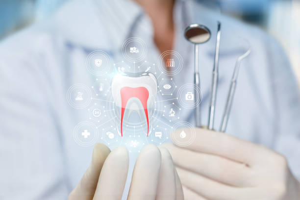 Best Dental Fillings (Composite and Amalgam)  in Lacey, WA